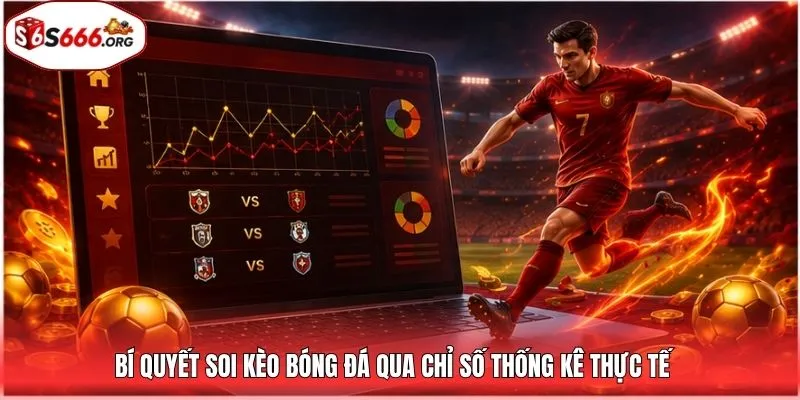 Bí quyết soi kèo bóng đá qua chỉ số thống kê thực tế