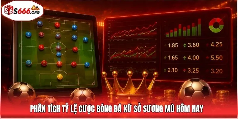 Phân tích tỷ lệ cược bóng đá xứ sở sương mù hôm nay