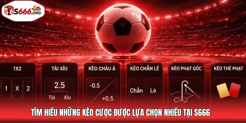 Tìm hiểu những kèo cược được lựa chọn nhiều tại S666